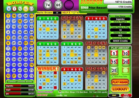 ako sa hra bingo|Ako hrať bingo online a offline .